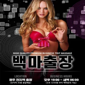 광주출장 백마출장